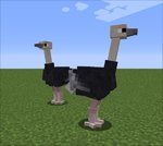 Exotic Birds Mod