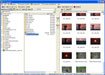 FileOrganiser